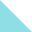 BotomLeftIcon